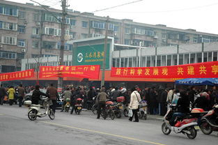 南湖青少年與嘉興志愿者的數字家園 探索嘉興網站建設的青春力量